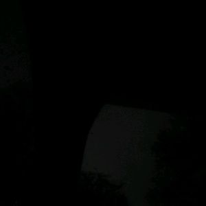 Meet your Posher, Bryan